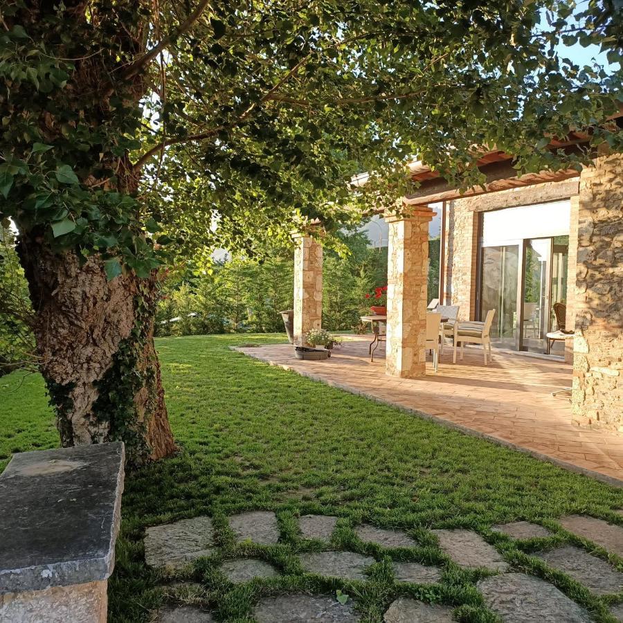 Casale1918 Bed & Breakfast Pietrasanta Eksteriør bilde